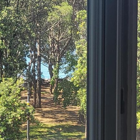 Medium Miramare Appartamento Sogno Sul Mare Trieste Luaran gambar