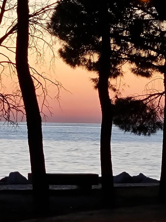 Medium Miramare Appartamento Sogno Sul Mare Trieste Luaran gambar