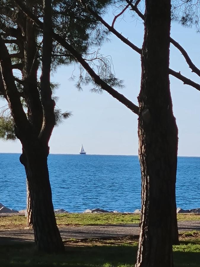 Medium Miramare Appartamento Sogno Sul Mare Trieste Luaran gambar